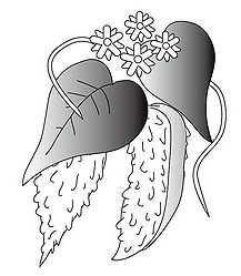 宮古弁 2007 02 oman zekara.jpg