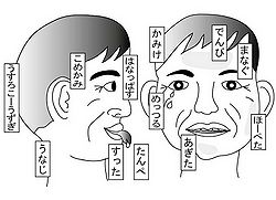 宮古弁 2008 11 usirokozuki.jpg