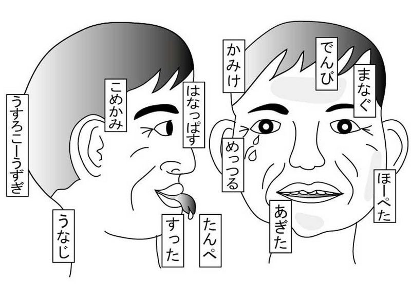 ファイル:宮古弁 2008 11 usirokozuki.jpg