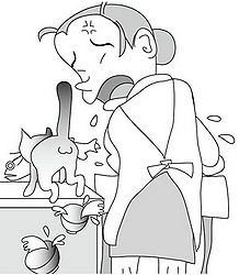 宮古弁 2009 03 tamasu pourogi.jpg