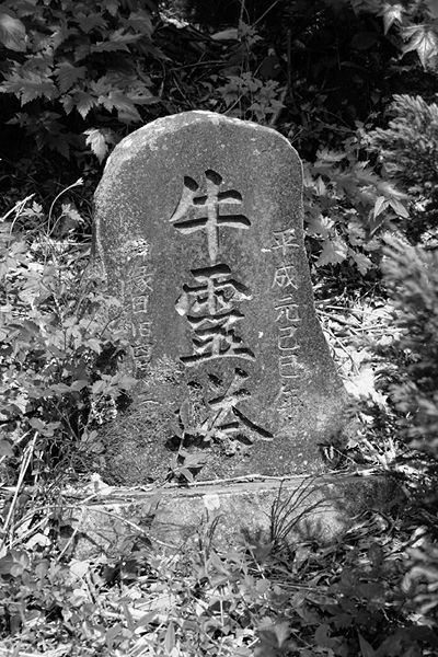 ファイル:石碑 201002 牛霊塔.jpg