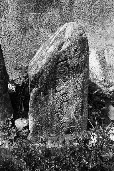 ファイル:石碑 201002 馬頭観世音.jpg