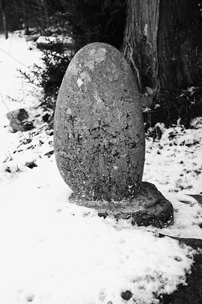 ファイル:石碑 201003 八大龍王.jpg