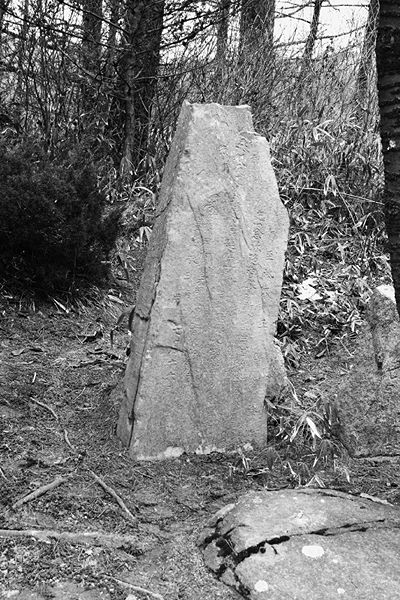 ファイル:石碑 201004 薬師三尊仏.jpg