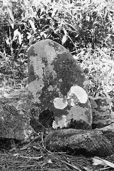 ファイル:石碑 201005 追分道標.jpg