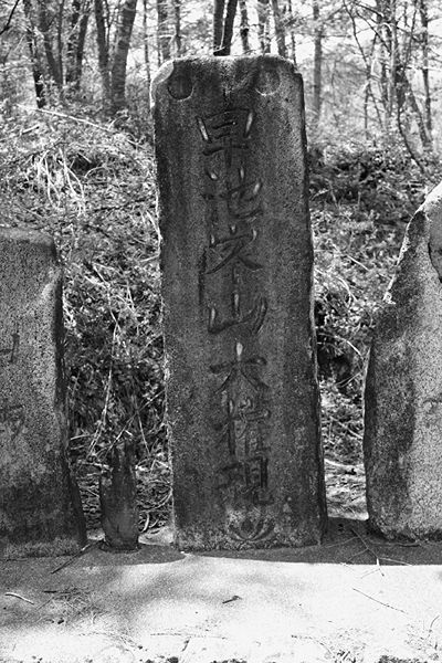 ファイル:石碑 201007 早池峰大権現亀次.jpg