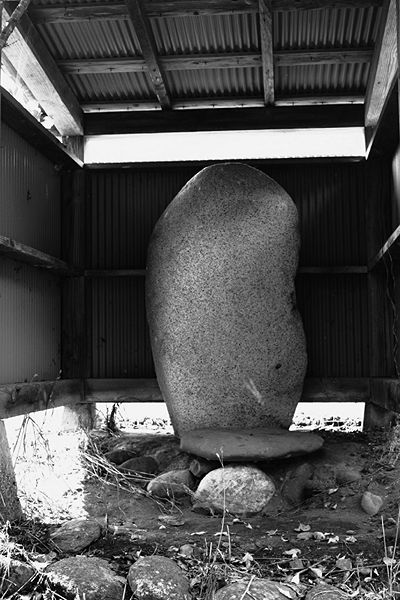 ファイル:石碑 201009 腹帯石塔婆.jpg