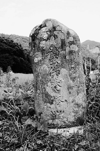 ファイル:石碑 201009 腹帯神虫供養.jpg