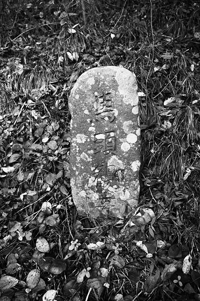 ファイル:石碑 201011 馬頭観音.jpg