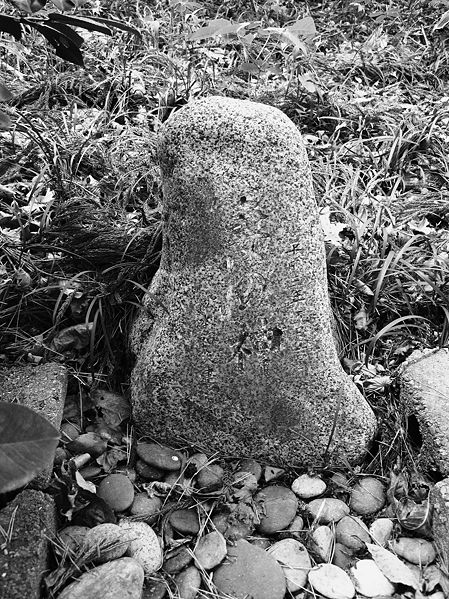 ファイル:Sain 01.jpg